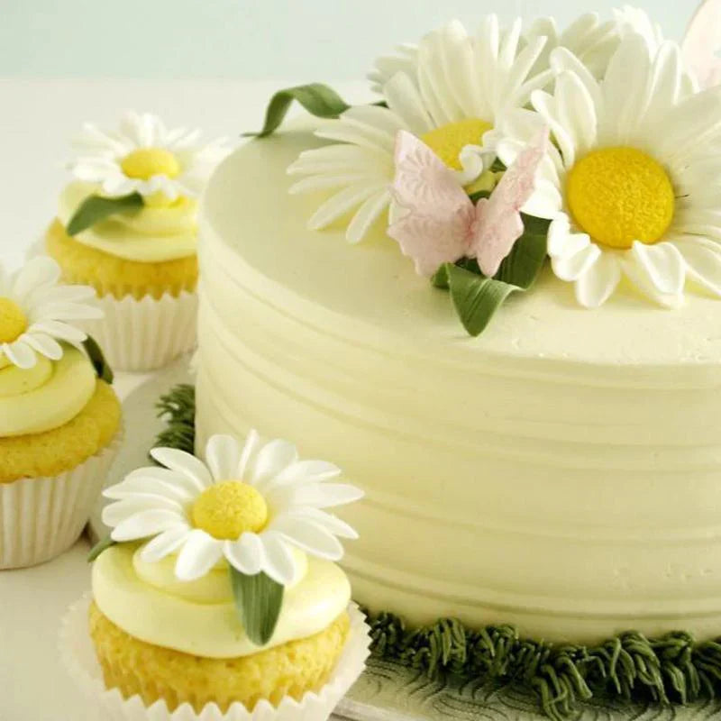 Creatieve 33-delige Taartdecoratieset