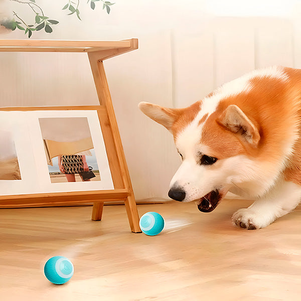 Interactieve, Automatisch Rollende Bal