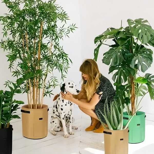 Mobiele Plantenbak voor Planten