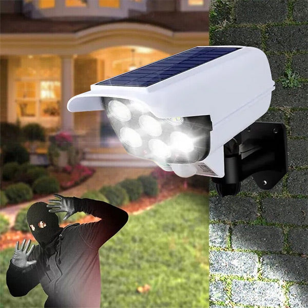 Motioneel Geactiveerd Zonlicht