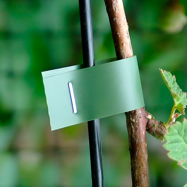 Snelbindapparaat voor Planten