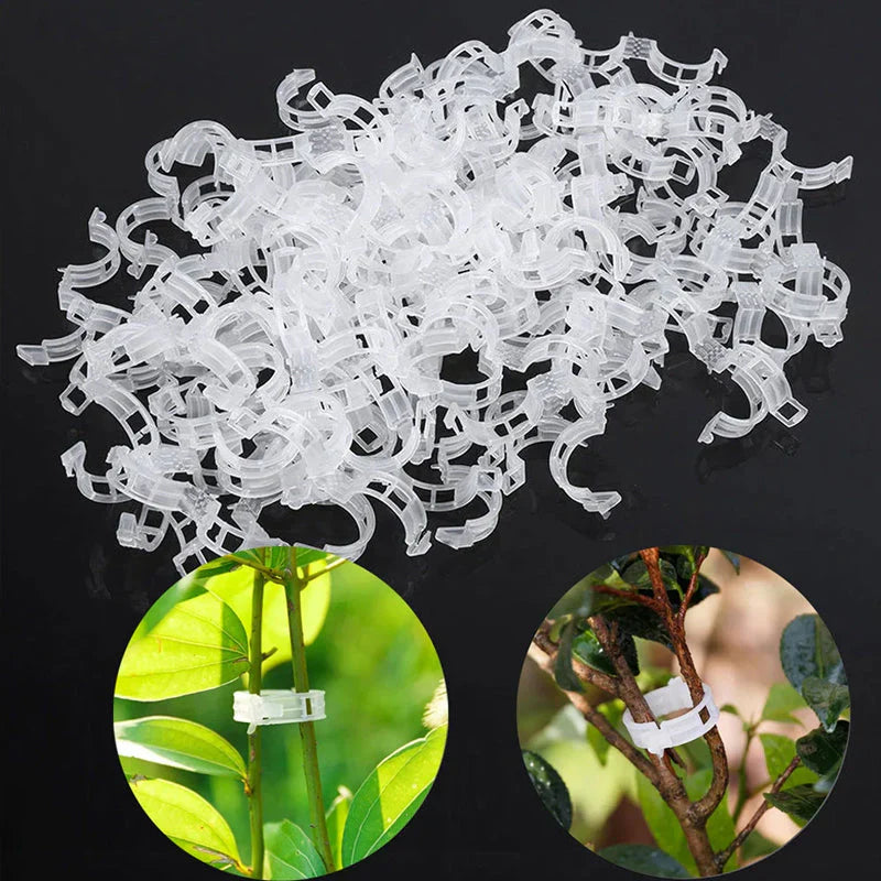 Robuuste Plantenclips voor een Stevige Grip (100 Stuks)