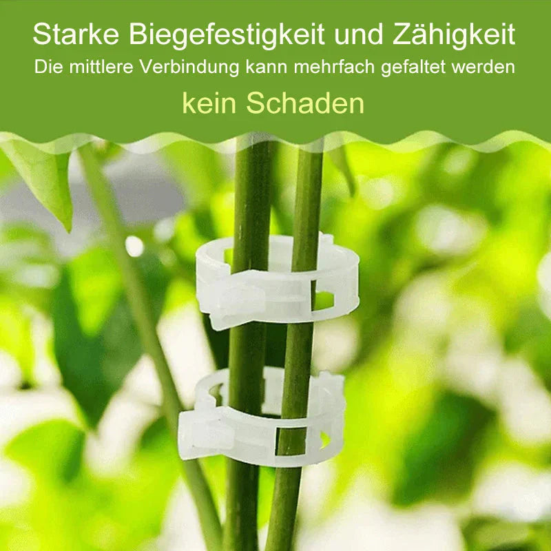 Robuuste Plantenclips voor een Stevige Grip (100 Stuks)