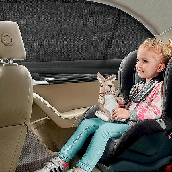Auto Zonwering met Eenvoudige Bevestiging (4 Stuks)