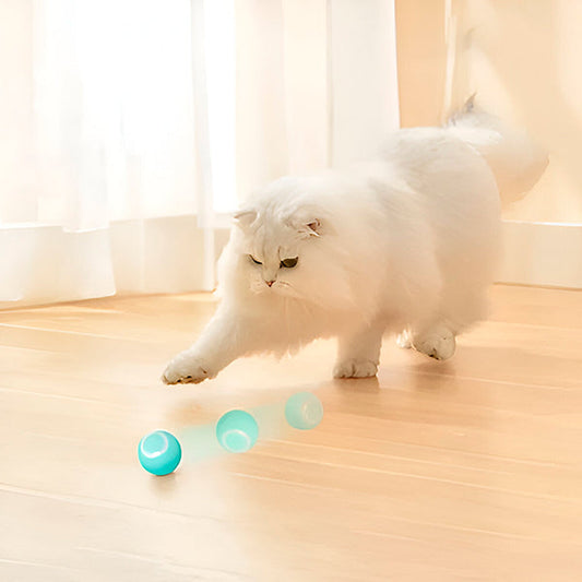 Interactieve, Automatisch Rollende Bal