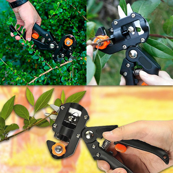 Professionele Snoei- en Entscharen voor in de Tuin