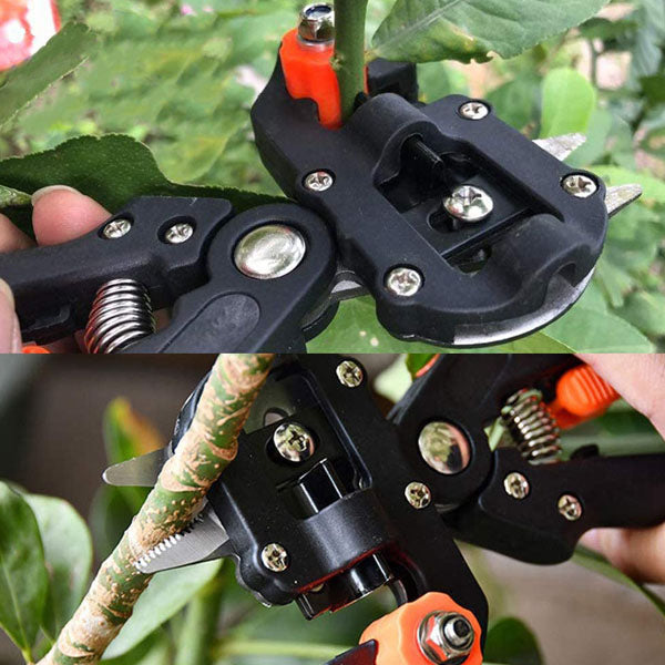 Professionele Snoei- en Entscharen voor in de Tuin