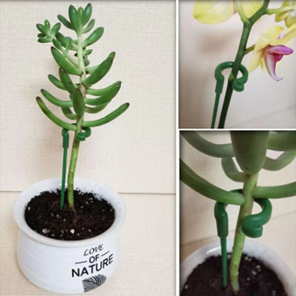Verstelbare Plantensteunen (20 Stuks)