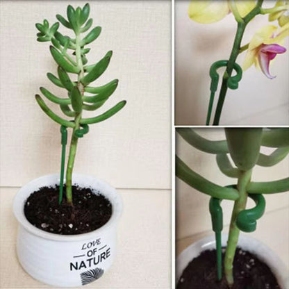 Verstelbare Plantensteunen (20 Stuks)