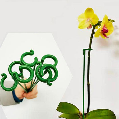 Verstelbare Plantensteunen (20 Stuks)
