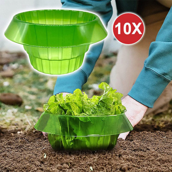 Bescherm Jonge Planten voor een Gezonde Groei