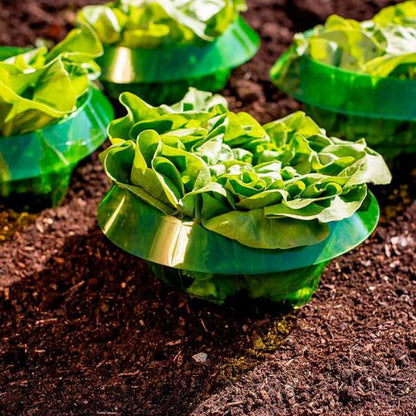 Bescherm Jonge Planten voor een Gezonde Groei