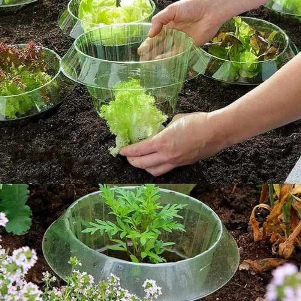 Bescherm Jonge Planten voor een Gezonde Groei