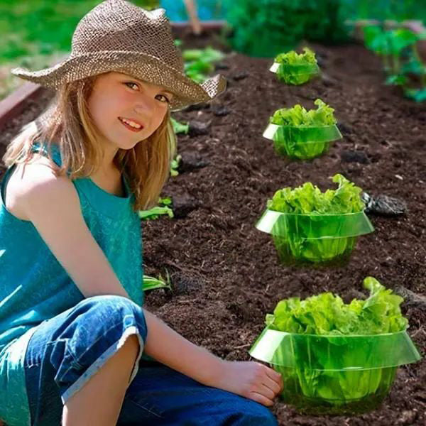 Bescherm Jonge Planten voor een Gezonde Groei