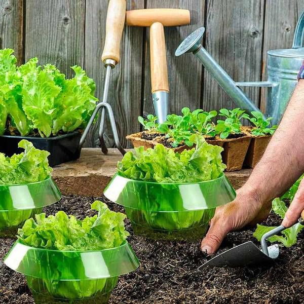 Bescherm Jonge Planten voor een Gezonde Groei