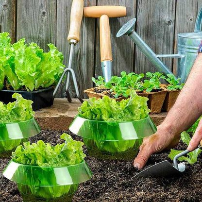 Bescherm Jonge Planten voor een Gezonde Groei