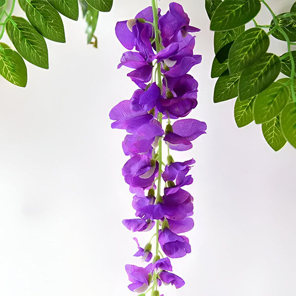 Glycine Bloesem Wijnstok Magie 3d