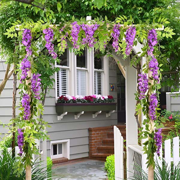 Glycine Bloesem Wijnstok Magie 3d