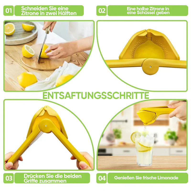 Handbediende Citroen- en Sinaasappelpers