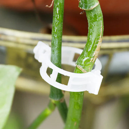 Robuuste Plantenclips voor een Stevige Grip (100 Stuks)