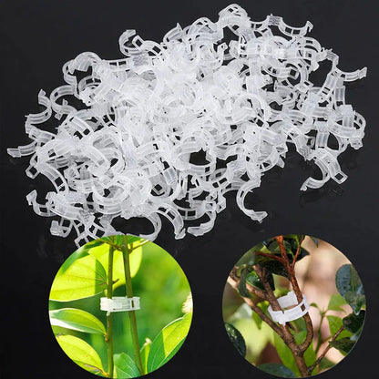 Robuuste Plantenclips voor een Stevige Grip (100 Stuks)