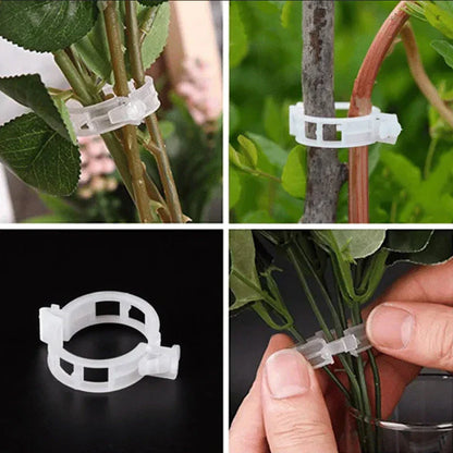 Robuuste Plantenclips voor een Stevige Grip (100 Stuks)