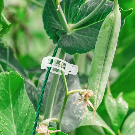 Robuuste Plantenclips voor een Stevige Grip (100 Stuks)