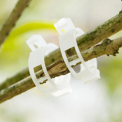 Robuuste Plantenclips voor een Stevige Grip (100 Stuks)